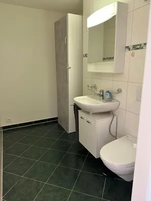 Ein Badezimmer in der Unterkunft Interlaken Best View Deluxe Apartment