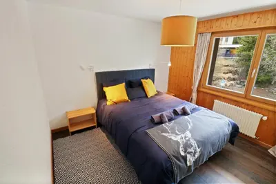 Ein Bett oder Betten in einem Zimmer der Unterkunft Magnifique appartement au coeur des 4 Vallées