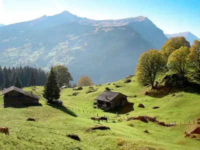 Naturlandschaft in der Nähe der Ferienwohnung