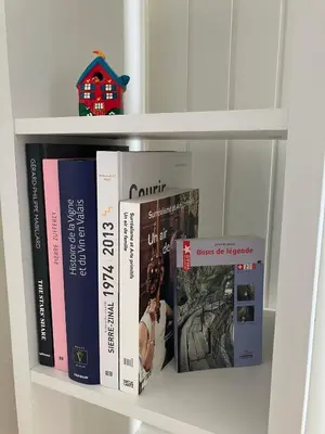 Die Bibliothek in der Ferienwohnung