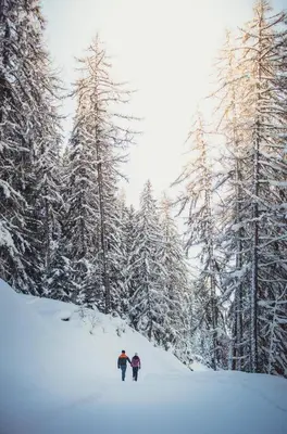 Haus Rovina im Winter