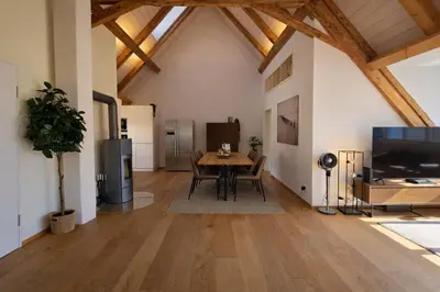 TV/Unterhaltungsangebot in der Unterkunft Niesen Loft