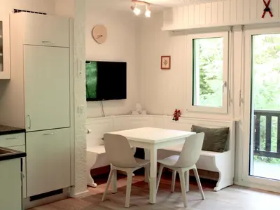 Küche/Küchenzeile in der Unterkunft Studio Les Dauphinelles by Interhome