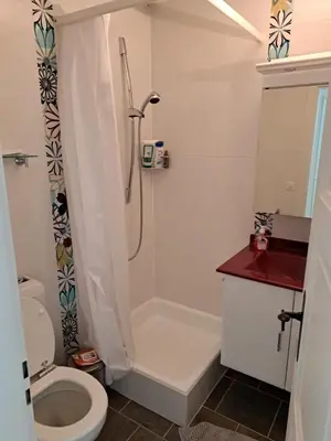 Ein Badezimmer in der Unterkunft Studio Les Dauphinelles by Interhome