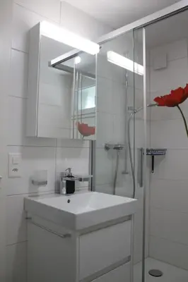 Ein Badezimmer in der Unterkunft NEB-THUN Studio am Thunersee