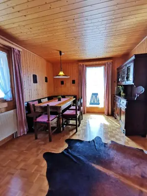TV/Unterhaltungsangebot in der Unterkunft CHALET HÜTTLE - authentisch, ruhig, mitten im grün