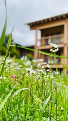 Ein Garten an der Unterkunft Berglodge Goms (Hotel)