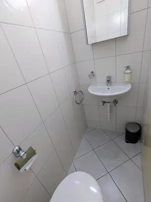 Ein Badezimmer in der Unterkunft Petit Trianon 1,3 - Grosses Familiennest komplett renoviert