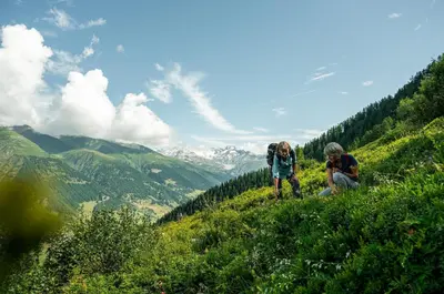 Naturlandschaft in der Nähe des Ferienhauses