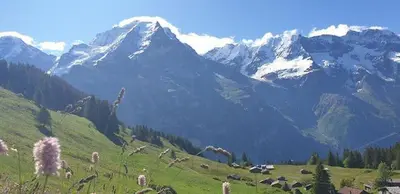 Naturlandschaft in der Nähe des Hostels