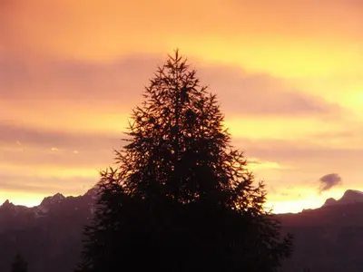 Naturlandschaft in der Nähe des Bed & Breakfasts