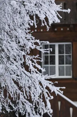 Wesley House im Winter