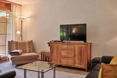 TV/Unterhaltungsangebot in der Unterkunft Apartment Silberhorn, outstanding view, spacious, family friendly