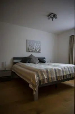 Ein Bett oder Betten in einem Zimmer der Unterkunft Moderne 2-Zimmer-Wohnung in Albinen mit Aussicht