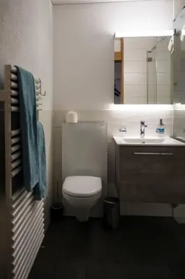Ein Badezimmer in der Unterkunft Moderne 2-Zimmer-Wohnung in Albinen mit Aussicht