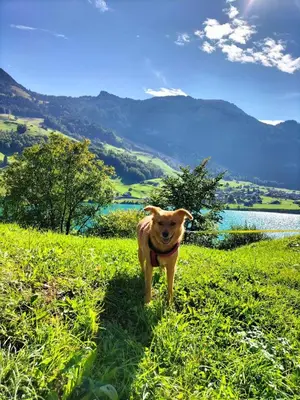 Naturlandschaft in der Nähe der Ferienwohnung