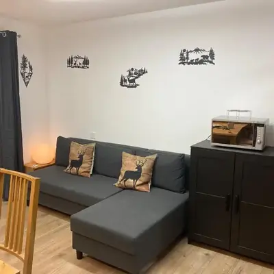 Appartement at the heart of Saas Fee