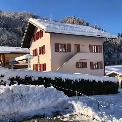 Perfect Mountain Condo - 4 Valleys - Swiss Alps