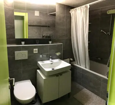 Ein Badezimmer in der Unterkunft Anzère, appartement cozy au coeur des Alpes