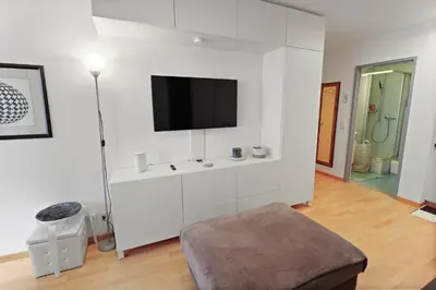 TV/Unterhaltungsangebot in der Unterkunft Studio chaleureux avec vue sur les montagnes