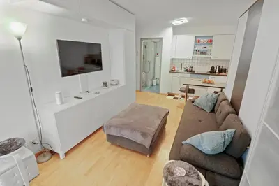 TV/Unterhaltungsangebot in der Unterkunft Studio chaleureux avec vue sur les montagnes