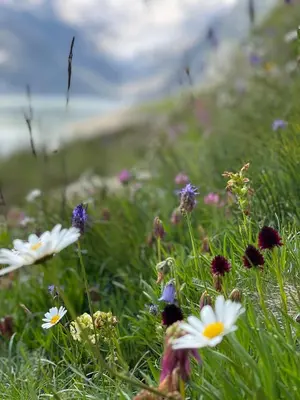Naturlandschaft in der Nähe der Ferienwohnung