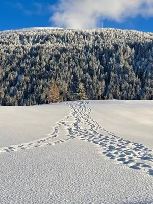Nanisgarten - Grannys flat im Winter