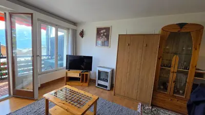 TV/Unterhaltungsangebot in der Unterkunft Appartement l Magnifique vue l Proche Crans-Montana