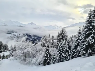 Auberge de l'Ours im Winter