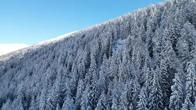 Chalet Meise im Winter