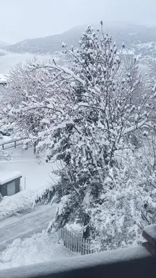 SNOW NEST: Superbe cocon enneigé im Winter