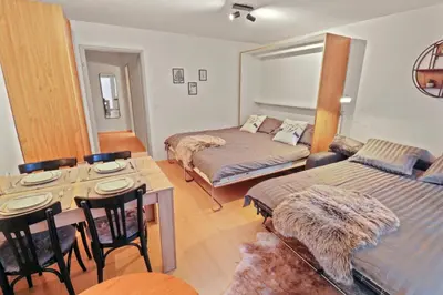Ein Bett oder Betten in einem Zimmer der Unterkunft Chaleureux studio plein centre