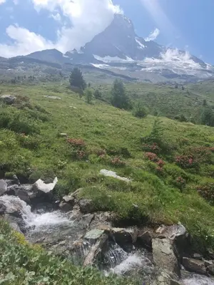 Naturlandschaft in der Nähe der Ferienwohnung