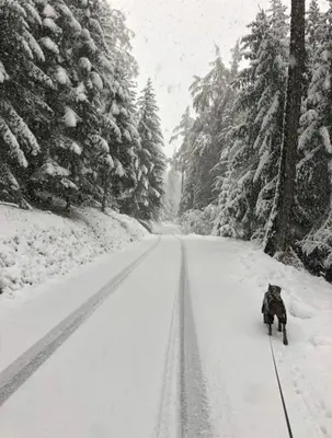 Chalet Crans-Montana im Winter