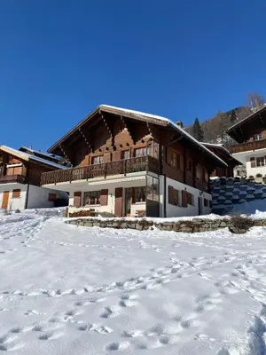 Chalet Bellwald im Winter