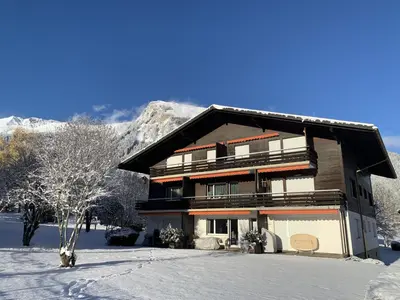 Apartment Ferienwohnung Waldrand EG by Interhome im Winter