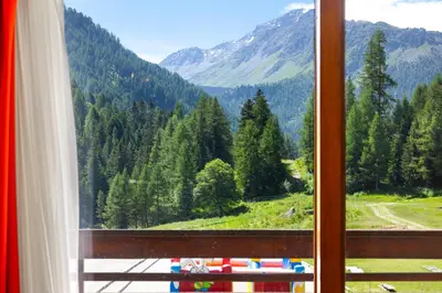 Naturlandschaft in der Nähe der Ferienwohnung