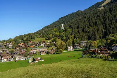 Naturlandschaft in der Nähe der Ferienwohnung