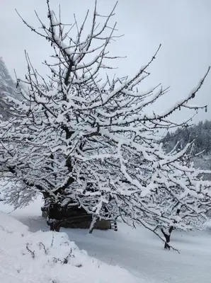 Appartement in St. Niklaus im Winter