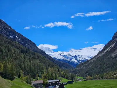 Naturlandschaft in der Nähe der Ferienwohnung