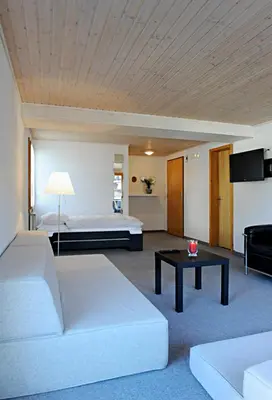 TV/Unterhaltungsangebot in der Unterkunft Apartment Lenkstrasse 6 C