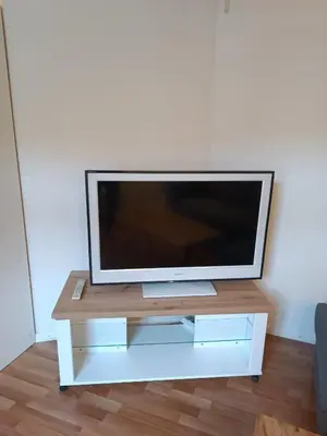 TV/Unterhaltungsangebot in der Unterkunft Apartment Jolie