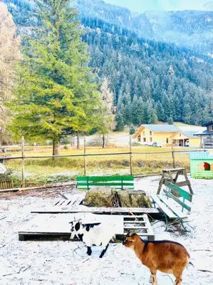 Naturlandschaft in der Nähe der Ferienwohnung