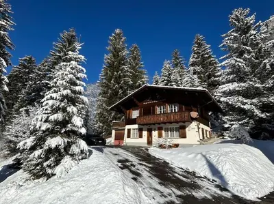 Chalet Spatz Loft with Sauna Kandersteg Oeschinen Lake im Winter