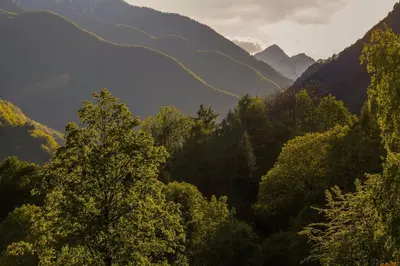 Naturlandschaft in der Nähe des Ferienhauses