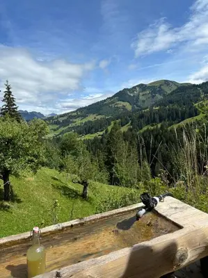 Naturlandschaft in der Nähe der Ferienwohnung