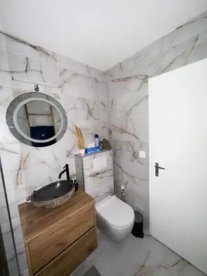 Ein Badezimmer in der Unterkunft Studio magnifique avec terrasse spacieuse Loèche-les-Bains Vacances