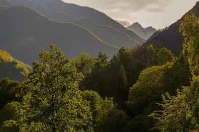 Naturlandschaft in der Nähe des Ferienhauses