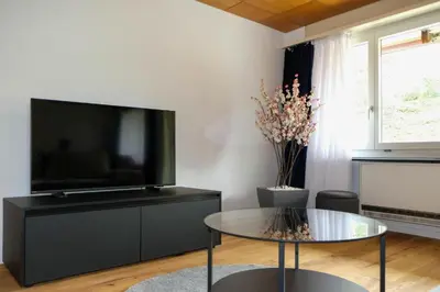 TV/Unterhaltungsangebot in der Unterkunft Mariposa Spiez