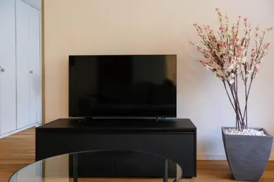 TV/Unterhaltungsangebot in der Unterkunft Mariposa Spiez
